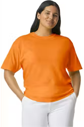 Comfort Colors Heavyweights T Shirt