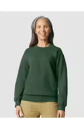 Gildan Softstyle Crewneck Sweatshirt