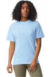 Comfort Colors Heavyweights T Shirt